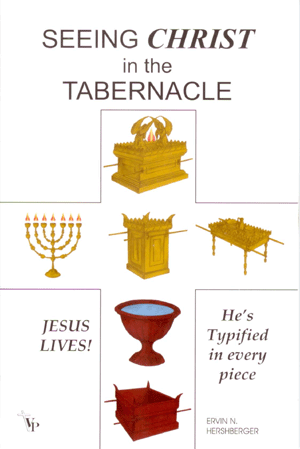 B-Seeing-Christ-in-the-tabe.gif