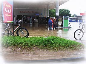 z-2005-11-Tocoa1.jpg