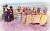 Banner-Hutterites.jpg