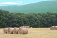 Banner-Summer-hay-1.jpg