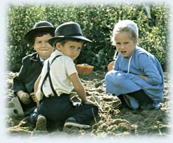Mennonite-children.jpg